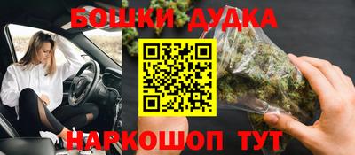 гидра Краснознаменск
