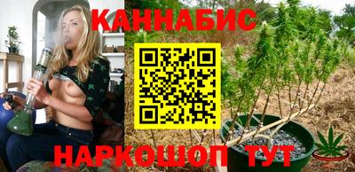 гидра Краснознаменск