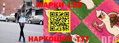 сатива Краснодар