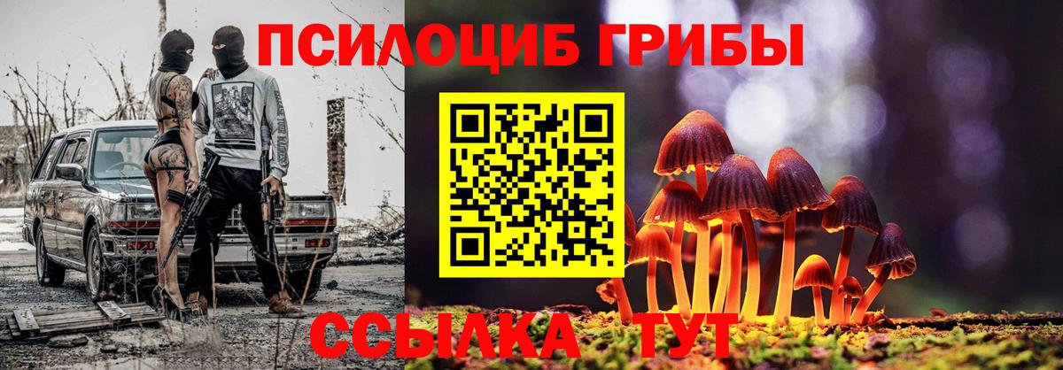 Псилоцибиновые грибы прущие грибы Котлас