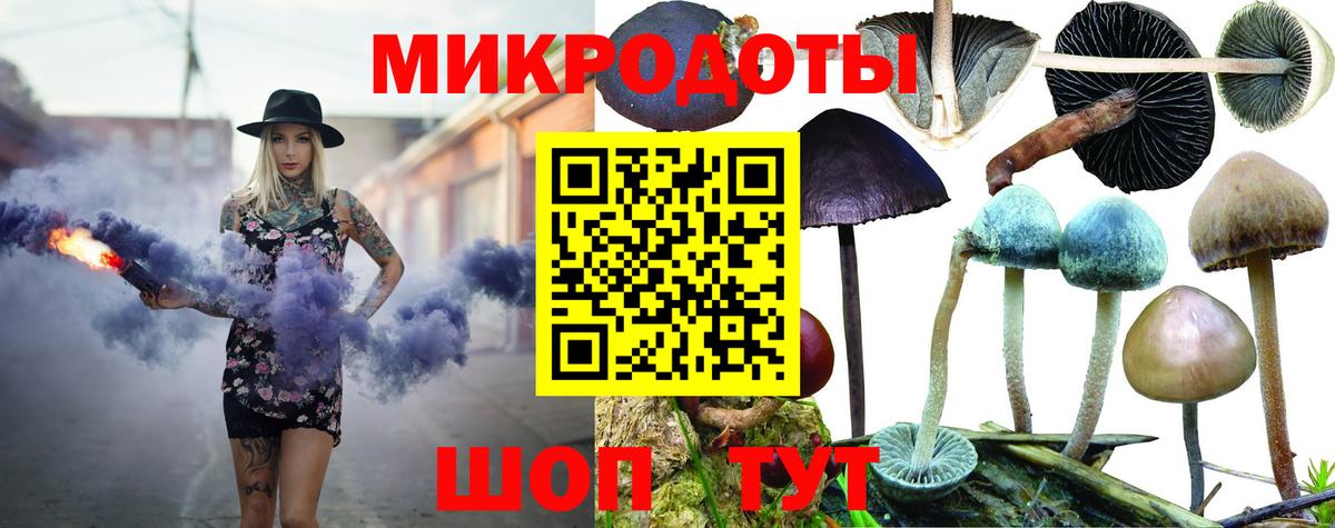 Галлюциногенные грибы ЛСД  Псилоцибиновые грибы MAGIC MUSHROOMS  Вход с VPN  магазин продажи наркотиков  Котлас 