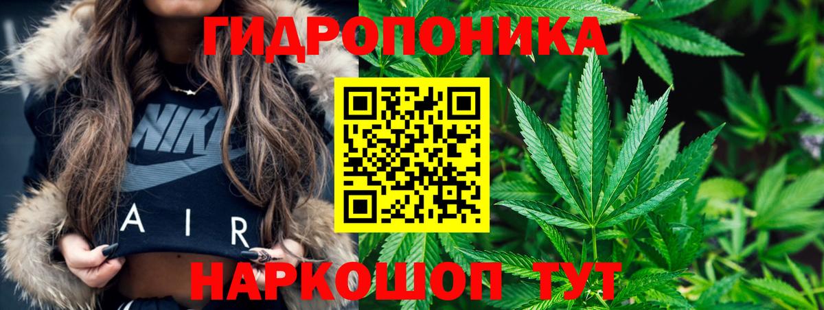 Канабис план Котлас