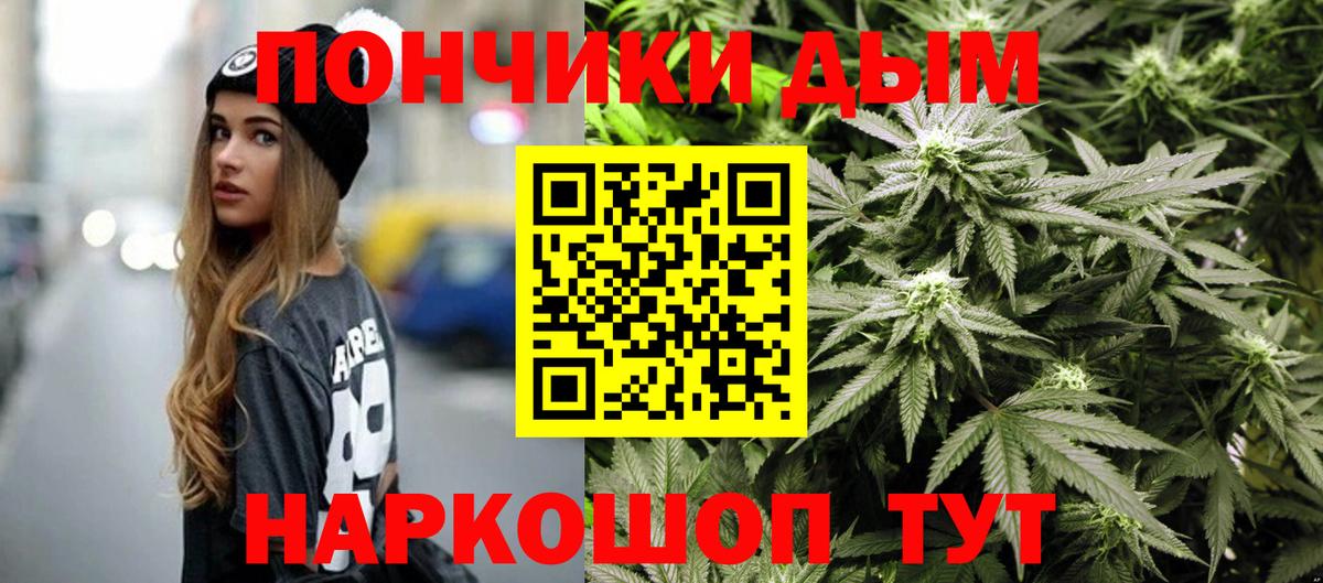 Каннабис SATIVA & INDICA  Конопля AK-47  Каннабис план  Котлас  Вход с VPN 